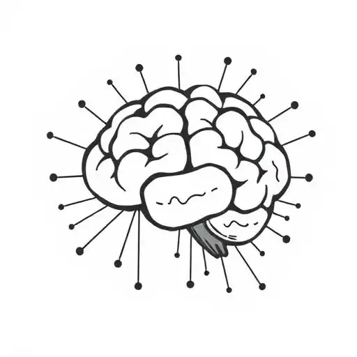 Desvendando o Universo de 'Insights' no e666